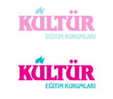 Kültür Eğitim Kurumları